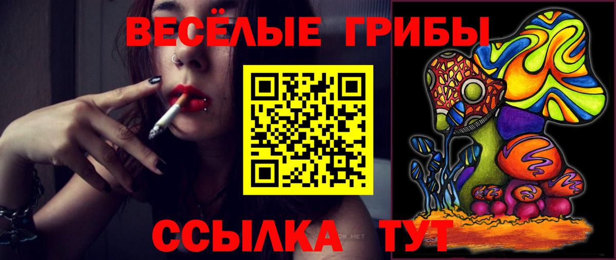 Псилоцибиновые грибы Cubensis  Вход с VPN  Истра 